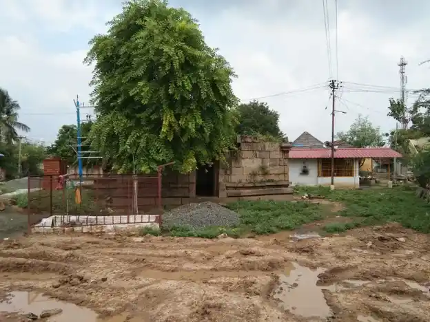 Arulmigu Eswarar Temple, Thiruvappur - 622003 அருள்மிகு ஈஸ்வரர் திருக்கோயில், திருவப்பூர் - 622003, Pudukkottai - Ancient Temple Architecture and History Image 3