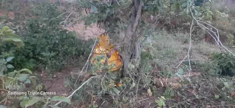 Arulmigu Ethivottukulam Kannimaar Temple, Madur - 624306 அருள்மிகு எத்திவொட்டுக்குளம் கன்னிமார் கோயில், Madur - 624306, Dindigul - Ancient Temple Architecture and History Image 3