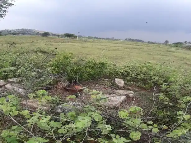 Arulmigu Ettikulam Kannimaar Temple, Ettikulam - 624706 அருள்மிகு எட்டிகுளம் கன்னிமார் திருக்கோயில், Ettikulam - 624706, Dindigul - Ancient Temple Architecture and History Image 4