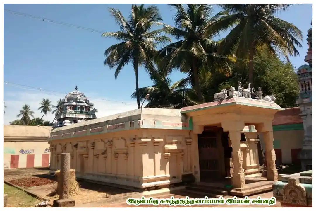 Arulmigu Ezhtharinatha Swamy Temple, Innambur - 612303 அருள்மிகு எழுத்தறிநாதசுவாமி திருக்கோயில், இன்னம்பூர் - 612303, Thanjavur - Ancient Temple Architecture and History Image 4