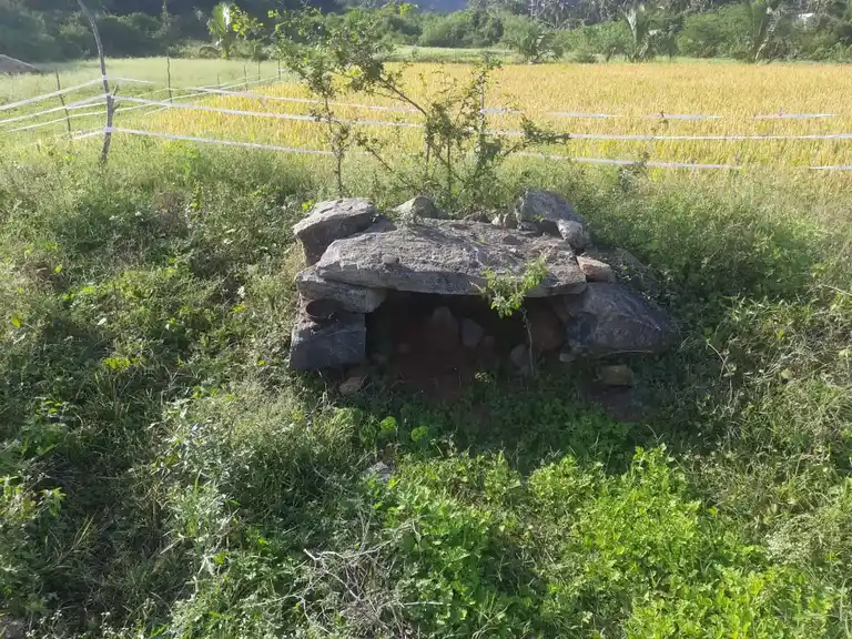 Arulmigu Gagadever Temple, Periyanur - 636812 அருள்மிகு கங்காதேவர் திருக்கோயில், Periyanur - 636812, Dharmapuri - Ancient Temple Architecture and History Image 2