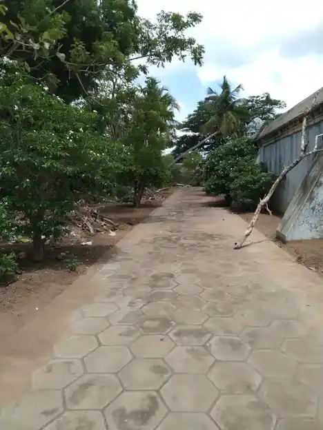 Arulmigu Ganapurishwarar Temple, Thirummakkottai - 614017 அருள்மிகு ஞானபுரீஸ்வரர் சுவாமி திருக்கோயில், திருமக்கோட்டை - 614017, Thiruvarur - Ancient Temple Architecture and History Image 8