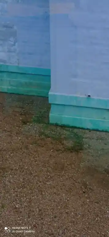 Arulmigu Ganga Devi And Marriamman Temple, Muramban - 628401 அருள்மிகு கங்காதேவி மற்றும் மாரியம்மன் திருக்கோயில், முறம்பன் - 628401, Thoothukudi - Ancient Temple Architecture and History Image 5