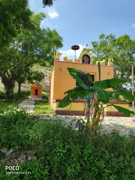 Arulmigu Ganga Parameswari Temple, Duraisamiyapuram - 627757 அருள்மிகு கங்காபரமேஸ்வரி திருக்கோயில், Duraisamiyapuram - 627757, Tenkasi - Ancient Temple Architecture and History Image 5