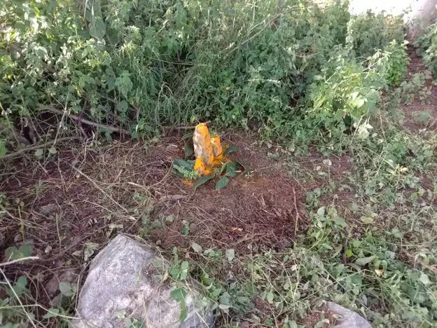 Arulmigu Gangadevar Temple, Near Athoornalli, Velagalahalli - 636805