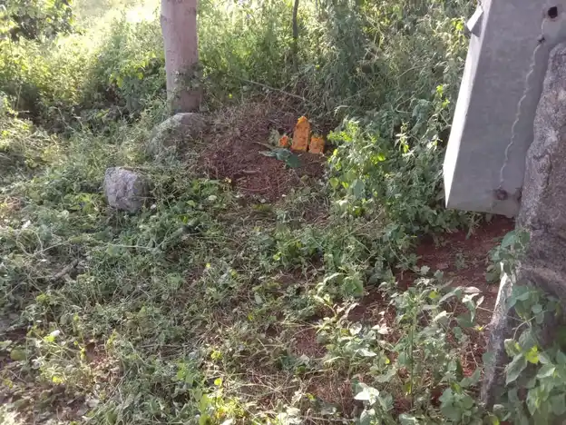 Arulmigu Gangadevar Temple, Near Athoornalli, Velagalahalli - 636805 அருள்மிகு கங்காதேவர் திருக்கோயில், அத்தனூர் அள்ளி அருகில், வெலகலஅள்ளி - 636805, Dharmapuri - Ancient Temple Architecture and History Image 2