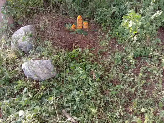 Arulmigu Gangadevar Temple, Near Athoornalli, Velagalahalli - 636805 அருள்மிகு கங்காதேவர் திருக்கோயில், அத்தனூர் அள்ளி அருகில், வெலகலஅள்ளி - 636805, Dharmapuri - Ancient Temple Architecture and History Image 3