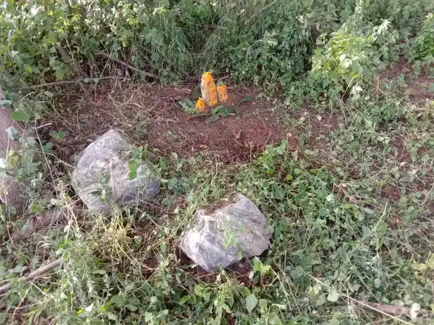 Arulmigu Gangadevar Temple, Near Athoornalli, Velagalahalli - 636805 அருள்மிகு கங்காதேவர் திருக்கோயில், அத்தனூர் அள்ளி அருகில், வெலகலஅள்ளி - 636805, Dharmapuri - Ancient Temple Architecture and History Image 4