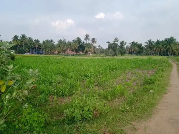 Arulmigu Gangadevar Temple, Near Mount, Attimutlu - 635106