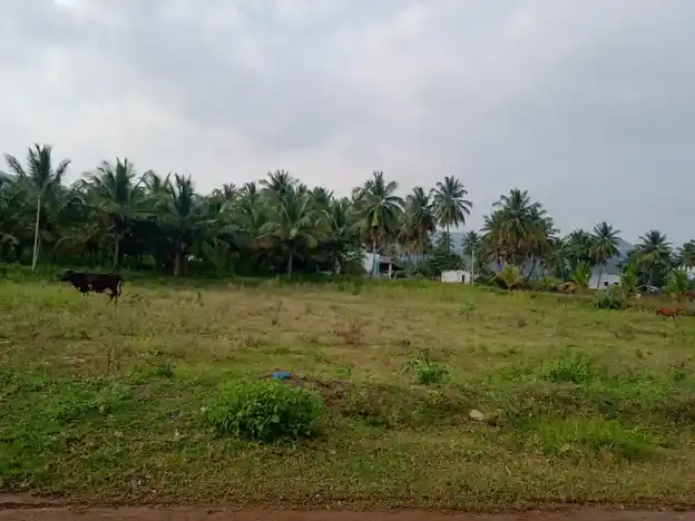 Arulmigu Gangadevar Temple, Near Mount, Attimutlu - 635106 அருள்மிகு கங்காதேவர் திருக்கோயில், Near Mount, Attimutlu - 635106, Dharmapuri - Ancient Temple Architecture and History Image 3