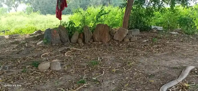 Arulmigu Gangadevar Temple, Palavadi - 636809 அருள்மிகு கங்கா தேவர் திருக்கோயில், Palavadi - 636809, Dharmapuri - Ancient Temple Architecture and History Image 2