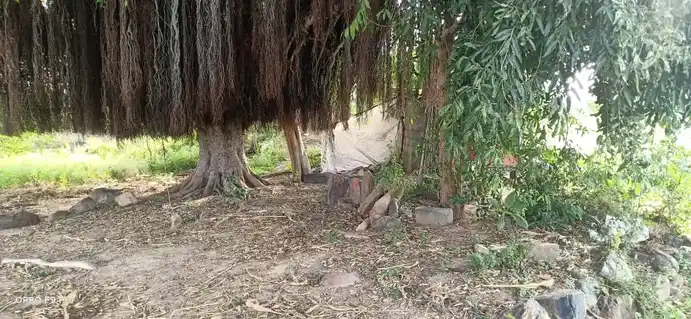 Arulmigu Gangadevar Temple, Palavadi - 636809 அருள்மிகு கங்கா தேவர் திருக்கோயில், Palavadi - 636809, Dharmapuri - Ancient Temple Architecture and History Image 3