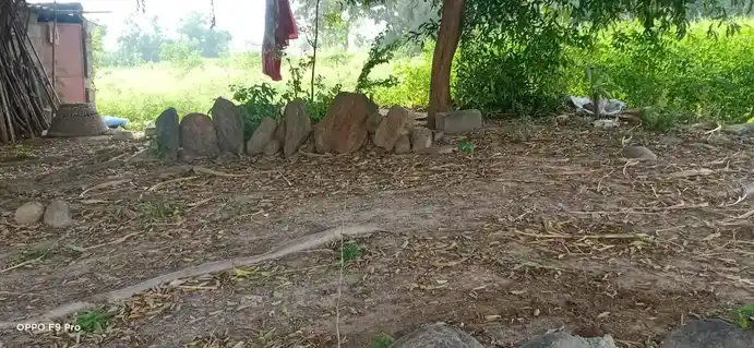 Arulmigu Gangadevar Temple, Palavadi - 636809 அருள்மிகு கங்கா தேவர் திருக்கோயில், Palavadi - 636809, Dharmapuri - Ancient Temple Architecture and History Image 4