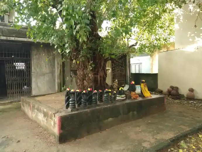 Arulmigu Gangaiamman Temple, Vengaivasal, Chennai - 600063 அருள்மிகு கங்கையம்மன் திருக்கோயில், வேங்கைவாசல், சென்னை - 600063, Chengalpattu - Ancient Temple Architecture and History Image 3