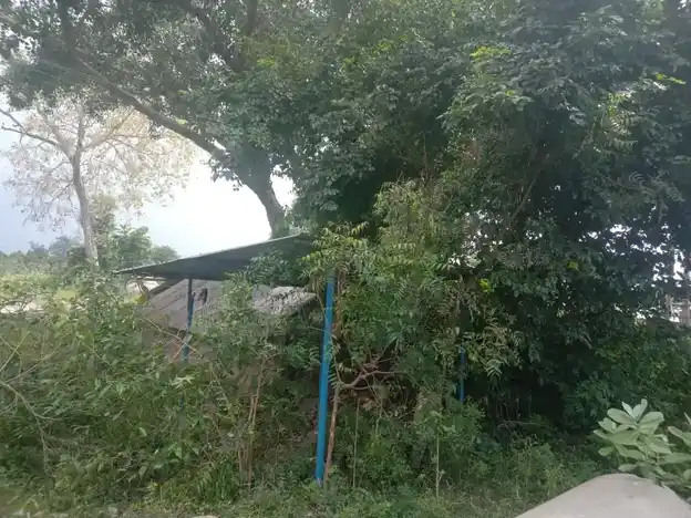 Arulmigu Gangaiyamman Temple, Sellampattu - 606207