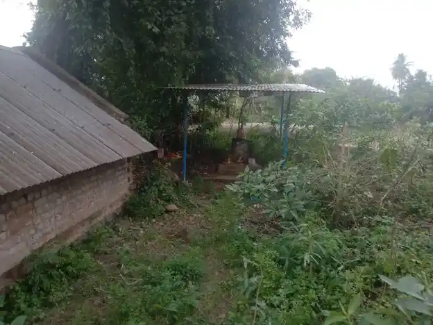 Arulmigu Gangaiyamman Temple, Sellampattu - 606207 அருள்மிகு கங்கையம்மன் திருக்கோயில், Sellampattu - 606207, Kallakurichi - Ancient Temple Architecture and History Image 4