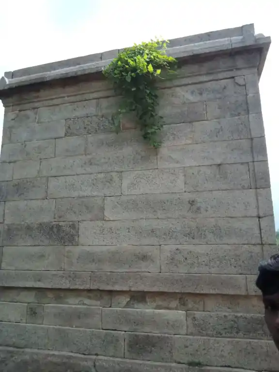 Arulmigu Ghana Veliappar And Eswar Temple, Ilavelangkal - 628401 அருள்மிகு ஞான வெள்ளையப்பர் மற்றும் ஈஸ்வரர் திருக்கோயில், Ilavelangkal - 628401, Thoothukudi - Ancient Temple Architecture and History Image 2