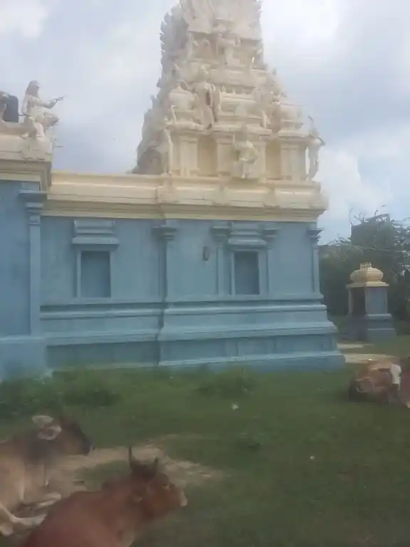 Arulmigu Giramadevadai Pidari Selliyamman Temple, Sundrashozhavaram - 600077 Temple