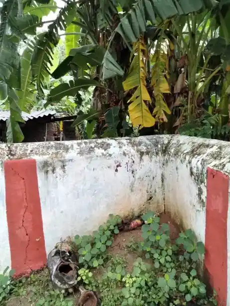 Arulmigu Giramadevathai Thanthoni Amman Temple, Thennampattu - 632511 அருள்மிகு கிராமதேவதை தான்தோனியம்மன் திருக்கோயில், Thennampattu - 632511, Tiruvannamalai - Ancient Temple Architecture and History Image 2