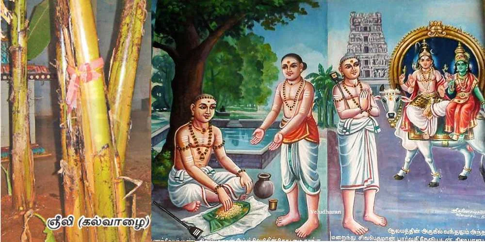 அருள்மிகு ஞீலிவனேஸ்வரர் திருக்கோயில், திருப்பைஞ்ஞீலி, Thiruppanjeeli - 621005 - Main View
