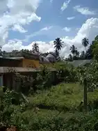 Arulmigu Gobalakirushna Swamy Temple, Seriukalathur - 612604 அருள்மிகு ஸ்ரீகோபாலகிருணசாமி திருக்கோயில், Seriukalathur - 612604, Thiruvarur - Ancient Temple Architecture and History Image 2