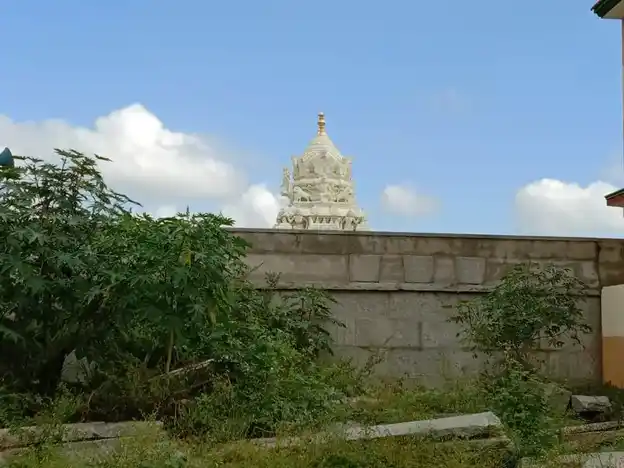 Arulmigu Godhandaramar Temple, Veppanappalli, Boothimudlu - 635121 அருள்மிகு கோதண்டராமர் திருக்கோயில், Veppanappalli, Boothimudlu - 635121, Krishnagiri - Ancient Temple Architecture and History Image 5
