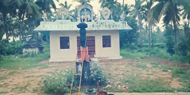 Arulmigu Gopala Kirushnan Vagaiyara Temple, Chellarapatti - 635602