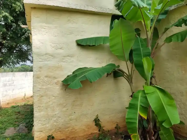 Arulmigu Gopala @ Krishnaswamy Temple, Mugalapalle - 635105 Arulmigu Gopala @ Krishnaswamy Temple, Mugalapalle - 635105, Krishnagiri - Ancient Temple Architecture and History Image 4