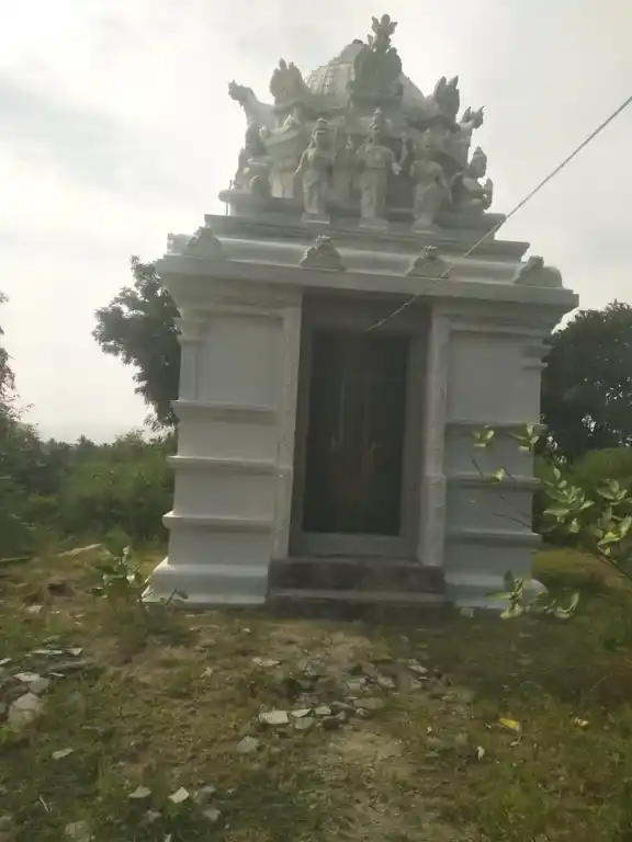 Arulmigu Gopinadhaswamy Temple, Annamalaihalli - 636808