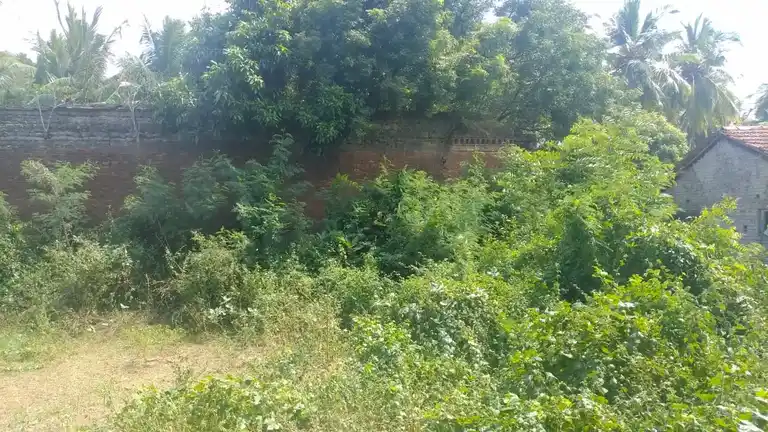 Arulmigu Gopinathaperumal Temple, Patteeswaram - 612703 அருள்மிகு கோபிநாதப்பெருமாள் திருக்கோயில், Patteeswaram - 612703, Thanjavur - Ancient Temple Architecture and History Image 2