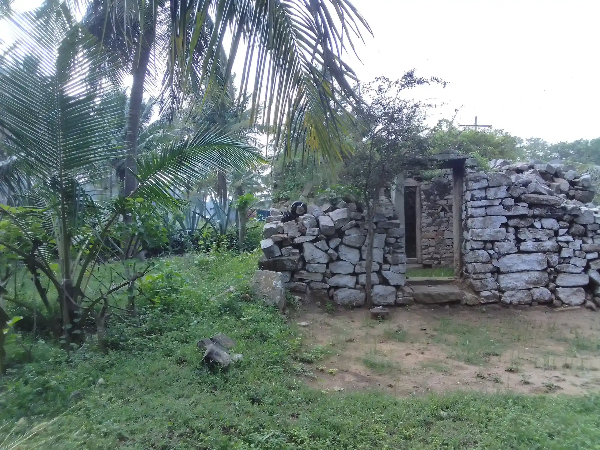 Arulmigu Govindeeswar Temple, Seelakampatti - 642107 Arulmigu Govindeeswar Temple, சீலக்கம்பட்டி - 642107, Coimbatore - Ancient Temple Architecture and History Image 4
