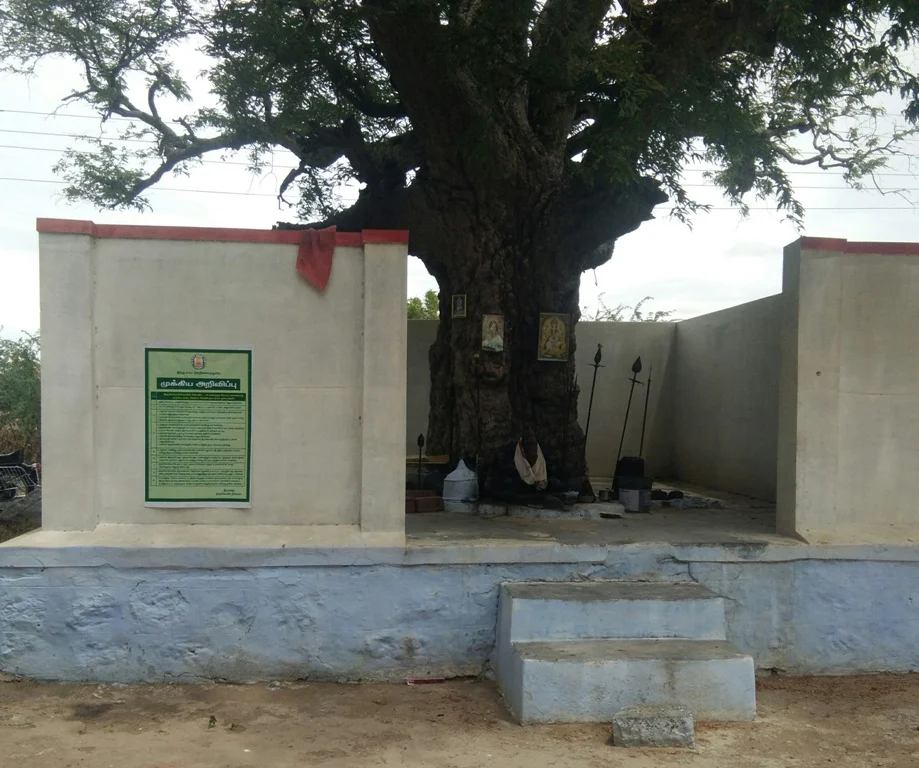 அருள்மிகு கவுண்டர் விநாயகர் திருக்கோயில், Kethalrevu - 644665 - Main View