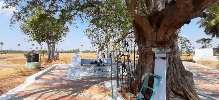 Arulmigu Gurunatha Swamy Temple, Nallipalayam - 637003 அருள்மிகு குருநாதசாமி திருக்கோயில், Nallipalayam - 637003, Namakkal - Ancient Temple Architecture and History Image 2