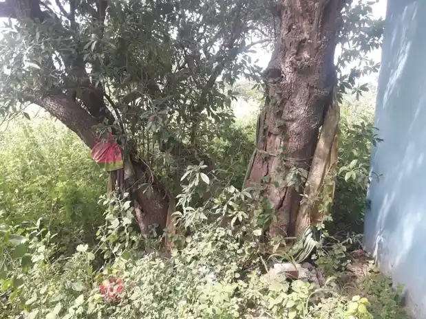 Arulmigu Gurunathasamy Temple, Kandai - 625527 அருள்மிகு குரநாத சுவாமி திருக்கோயில், Kandai - 625527, Madurai - Ancient Temple Architecture and History Image 4