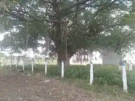 Arulmigu Gurunathasamy Temple, Kovindanallur - 626149 அருள்மிகு குருநாத சுவாமி திருக்கோயில், கோவிந்தநல்லுர் - 626149, Virudhunagar - Ancient Temple Architecture and History Image 3