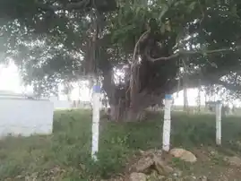 Arulmigu Gurunathasamy Temple, Kovindanallur - 626149 அருள்மிகு குருநாத சுவாமி திருக்கோயில், கோவிந்தநல்லுர் - 626149, Virudhunagar - Ancient Temple Architecture and History Image 5