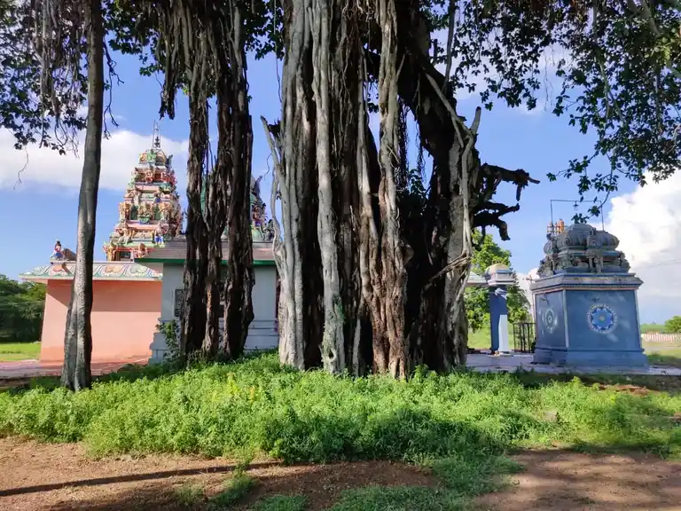 Arulmigu Gurunathaswamy Temple, Ulakudi, Ulakudi - 626607 அருள்மிகு குருநாதசுவாமி திருக்கோயில், உலக்குடி, உலக்குடி - 626607, Virudhunagar - Ancient Temple Architecture and History Image 5