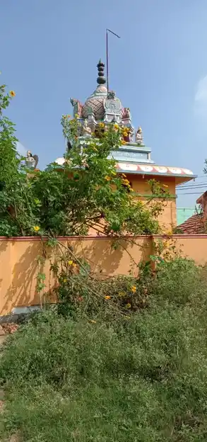 Arulmigu Hanumantharayaswamy Temple, Thummanapalli - 635105 அருள்மிகு அனுமந்தராயசாமி திருக்கோயில், Thummanapalli - 635105, Krishnagiri - Ancient Temple Architecture and History Image 4