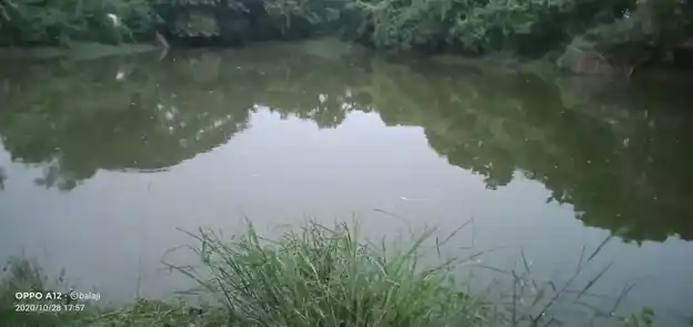 Arulmigu Hariharaputhrasamy Temple, Konur - 614206 அருள்மிகு ஹரிஹரபுத்ரசுவாமி திருக்கோயில், Konur - 614206, Thanjavur - Ancient Temple Architecture and History Image 5