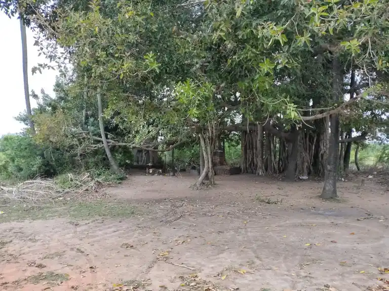Arulmigu Hariharapuththira Temple, Manakuppam - 607203