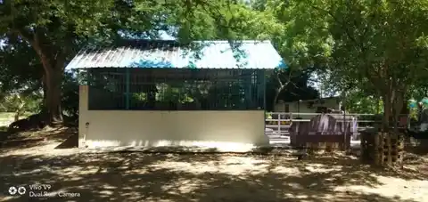 Arulmigu Hariharapuththirar Iyyanar Temple, Thennamadevi - 605402 அருள்மிகு அரிஹரபுத்திர அய்யனார் திருக்கோயில், தென்னமாதேவி - 605402, Viluppuram - Ancient Temple Architecture and History Image 3