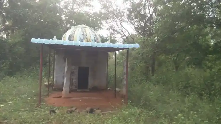 Arulmigu Idakaavalmalai Temple, Viralipatti - 624709 அருள்மிகு இடக்காவல்மாலை திருக்கோயில், Viralipatti - 624709, Dindigul - Ancient Temple Architecture and History Image 8