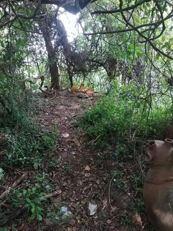 Arulmigu Idatheri Kandan Sastha, Aloor - 629801 Arulmigu Idatheri Kandan Sastha, Aloor - 629801, Kanyakumari - Ancient Temple Architecture and History Image 2