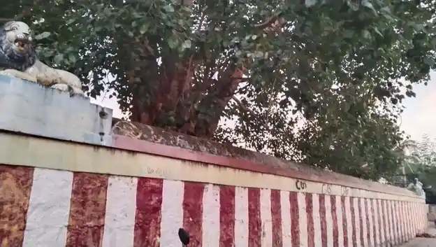 Arulmigu Ilangaliyamman Temple, Mullipallam - 625207 அருள்மிகு இளங்ககாளியம்மன் திருக்கோயில், Mullipallam - 625207, Madurai - Ancient Temple Architecture and History Image 3