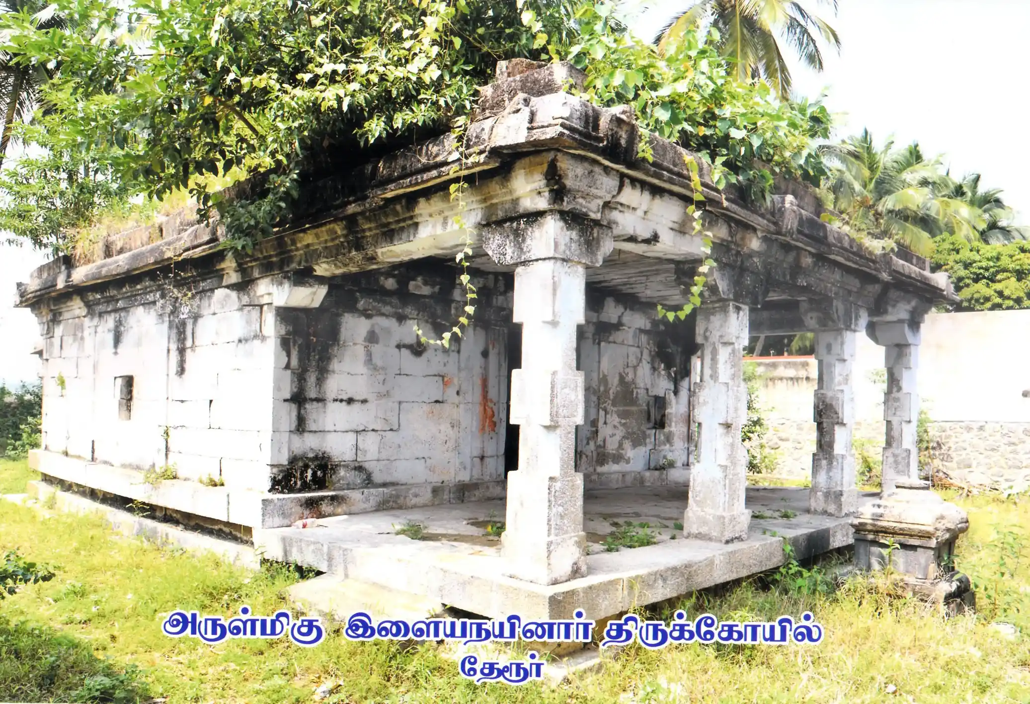 Arulmigu Ilaya Nainar Temple, Thekkoor, Theroor - 629704