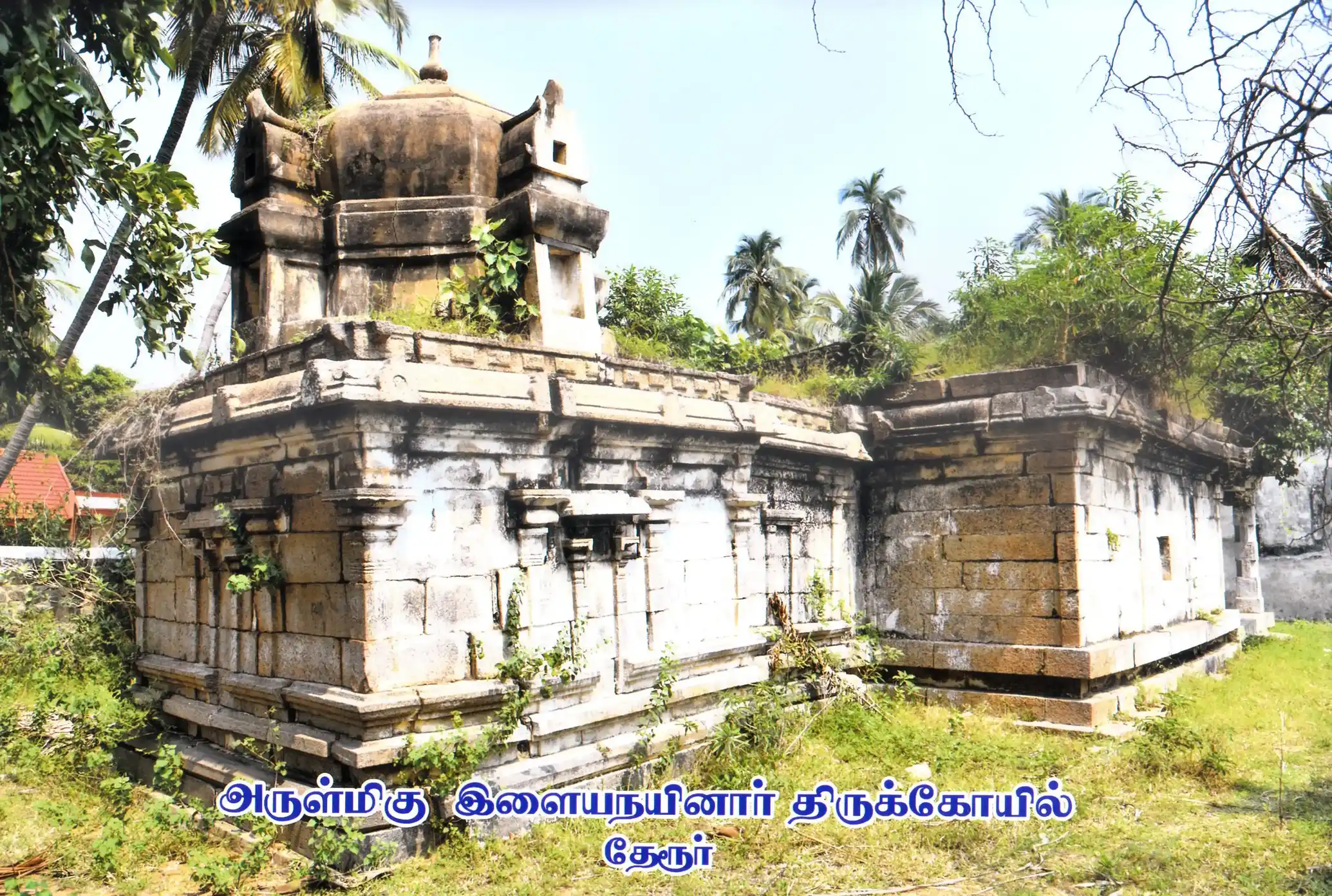 Arulmigu Ilaya Nainar Temple, Thekkoor, Theroor - 629704 அருள்மிகு இளைய நயினார் திருக்கோயில், Thekkoor, Theroor - 629704, Kanyakumari - Ancient Temple Architecture and History Image 3