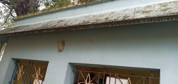 Arulmigu Ingara Vadi Nayagar Temple, Near Main Road, Arani - 601101 Arulmigu Ingara vadi nayagar Temple, Near Main Road,, Arani - 601101, Tiruvallur - Ancient Temple Architecture and History Image 4