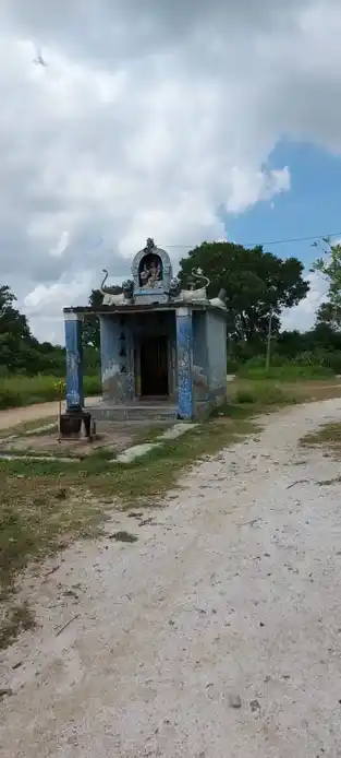 Arulmigu Inneeswarar Chelliyamman an Maariyamman and Thanthoniyamman andPillaiyar Temple, Thuraiperumpakkam - 631001 அருள்மிகு ஐனிஸ்வரர் செல்லியம்மன் மாரியம்மன் தாந்தோனியம்மன் பிள்ளையார் பத்ரகாளியம்மன் திருக்கோயில், துரைப்பெரும்பாக்கம் - 631001, Ranipet - Ancient Temple Architecture and History Image 5