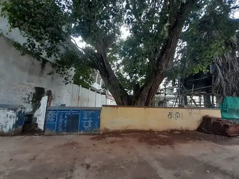 Arulmigu Iramanathe Eswarar Temple, Ottarpalayam - 641653 அருள்மிகு இராமநாத ஈஸ்வரர் திருக்கோயில், Ottarpalayam - 641653, Coimbatore - Ancient Temple Architecture and History Image 5