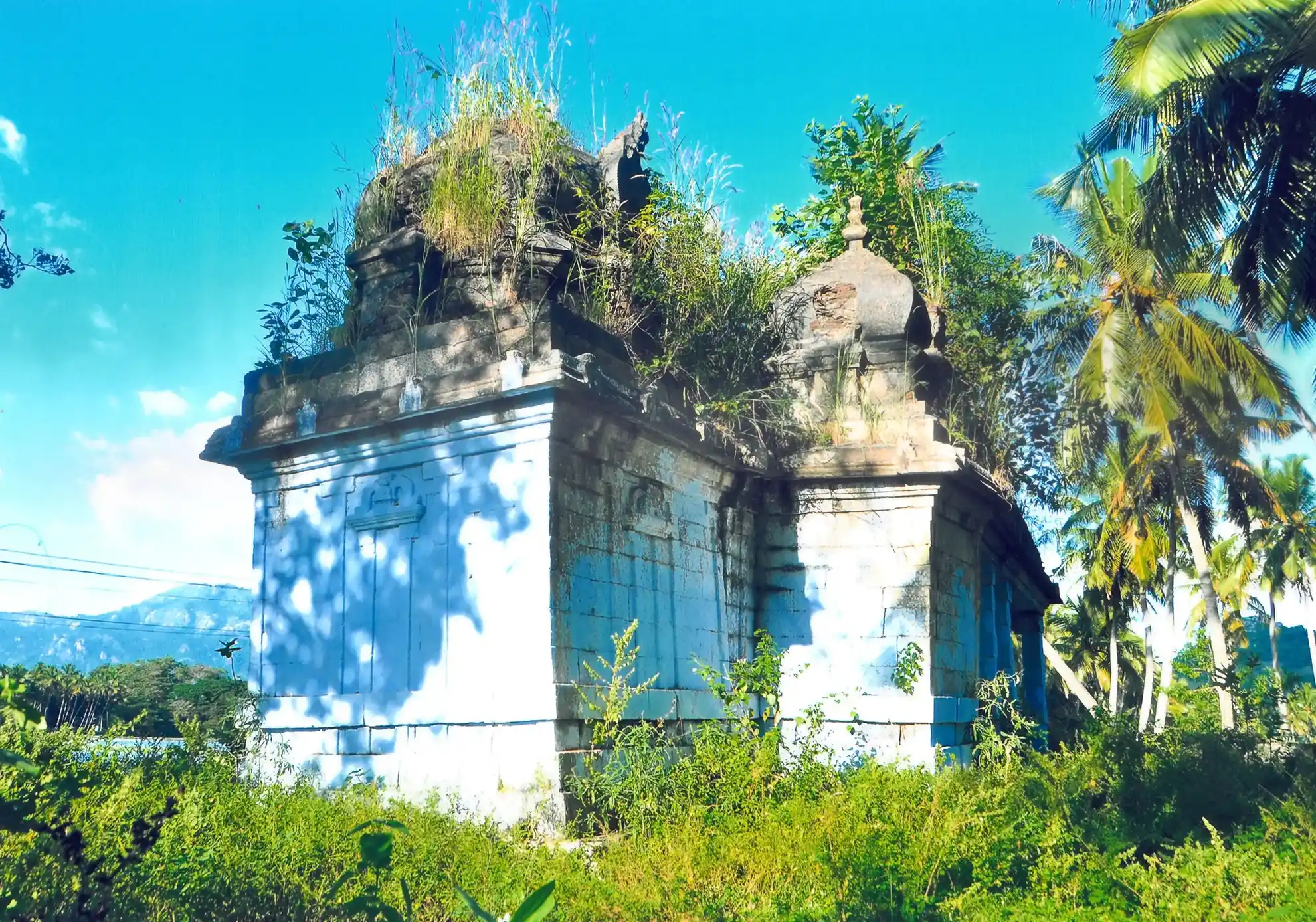 Arulmigu Irattaipadi Padhmanabhaswamy Temple, Aloor - 629801 Temple